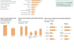 State-Cancer-Overview-Tab
